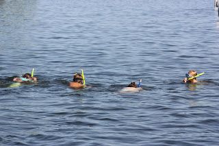 Snorkeling in Lake
