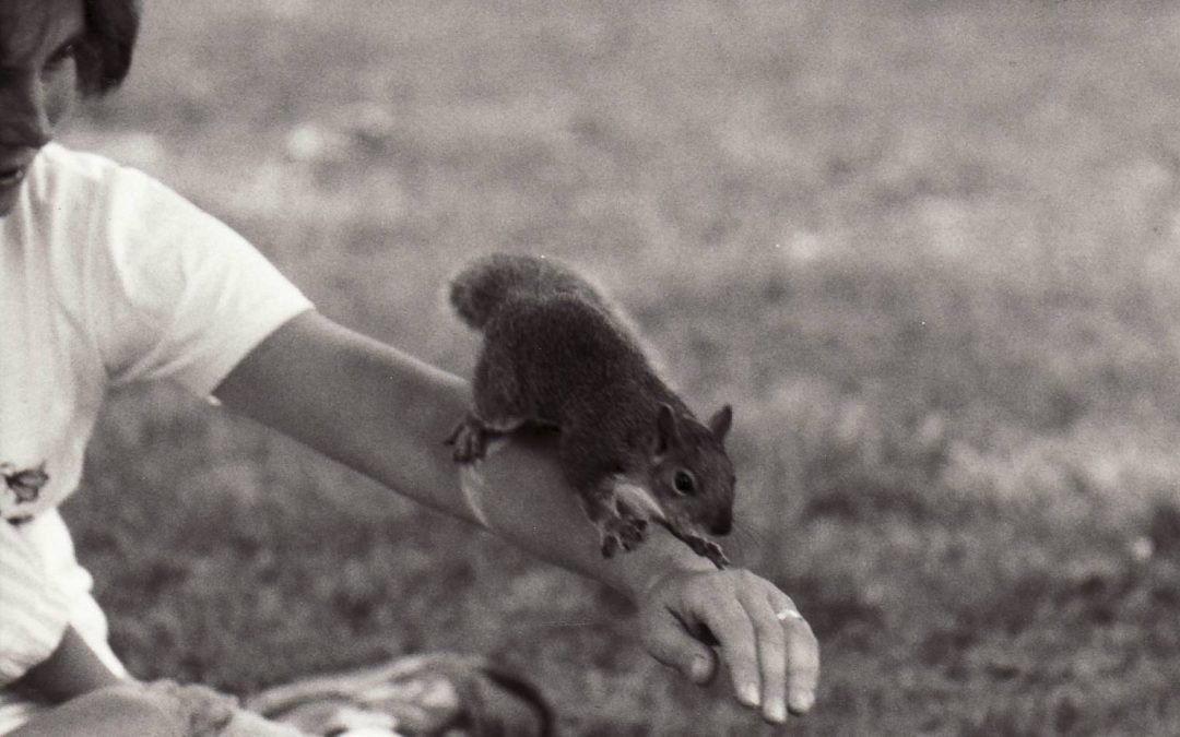 The History of Camp Pets!