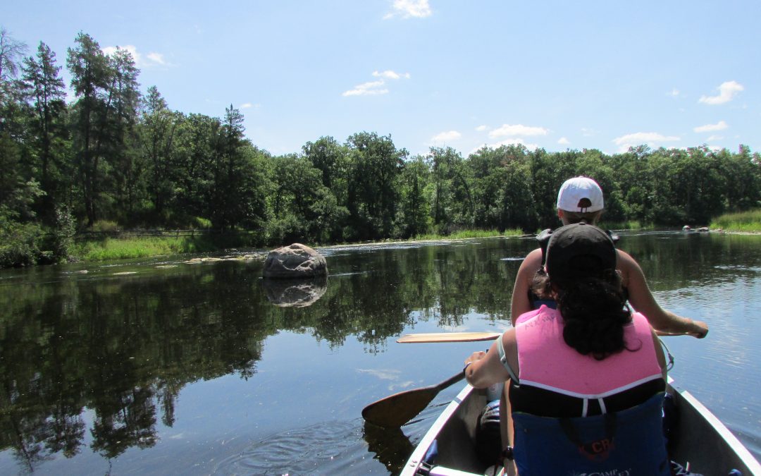The Ultimate Guide to Summer Camp Near Minneapolis in 2024