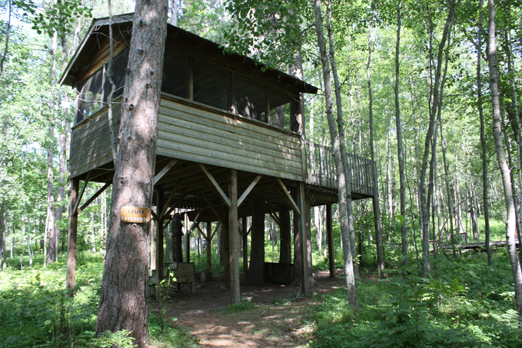 A treehouse in the woods 