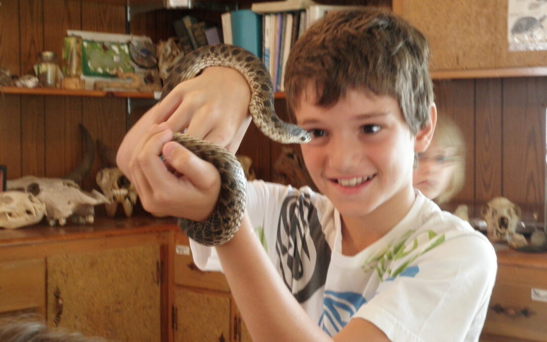 In Loving Memory of Hoggy the Hognose Snake