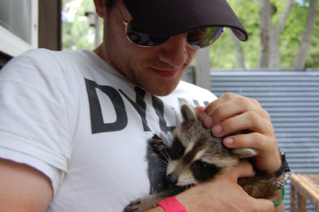 a man holds a raccoon at Camp Foley